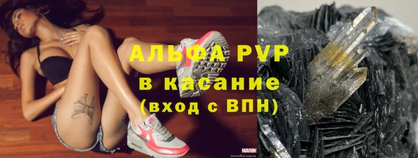 сатива Верхний Тагил