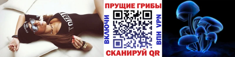 Псилоцибиновые грибы Psilocybine cubensis  Купить где  Семилуки 
